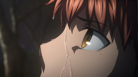 劇場版「『Fate/stay night[Heaven's Feel]』II.lost butterfly」より。