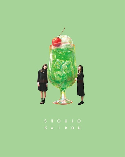 映画「少女邂逅」Blu-rayのアウターケース。