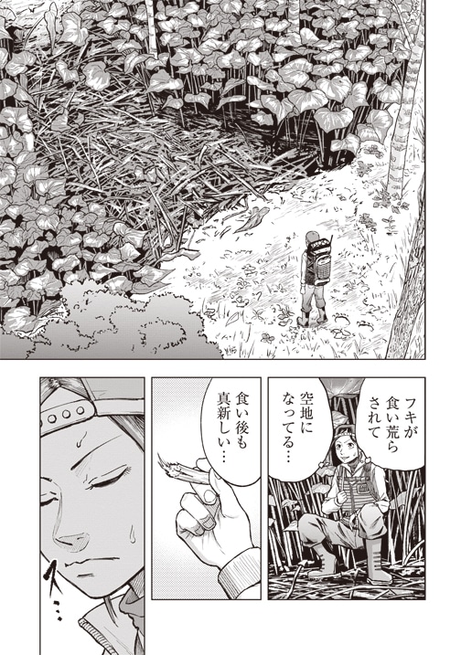 「クマ撃ちの女」より。