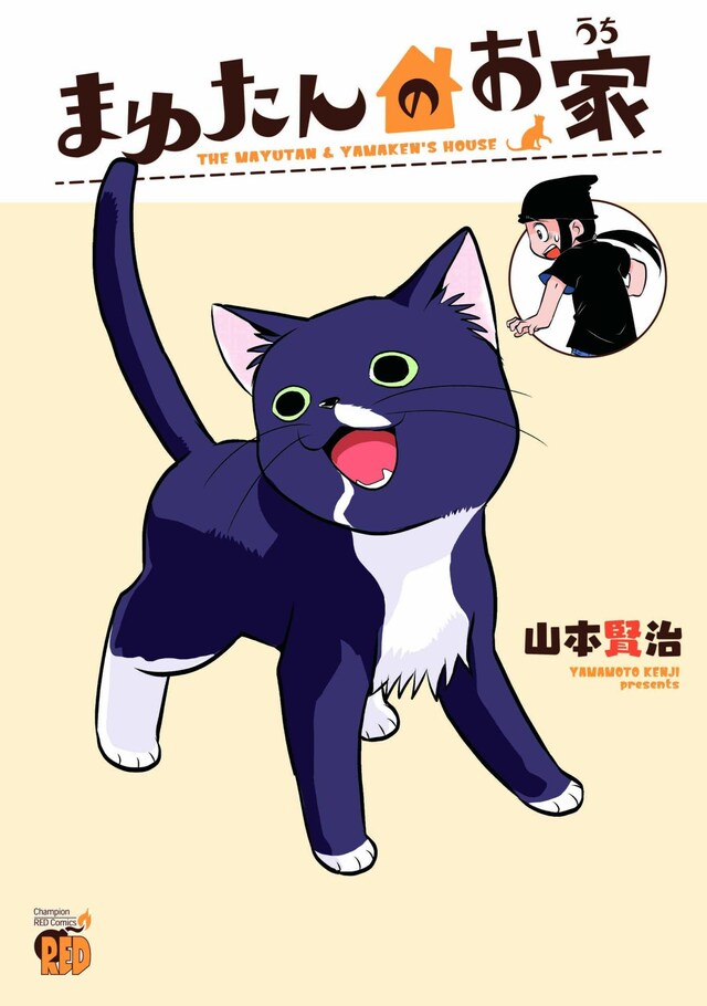 「まゆたんのお家」