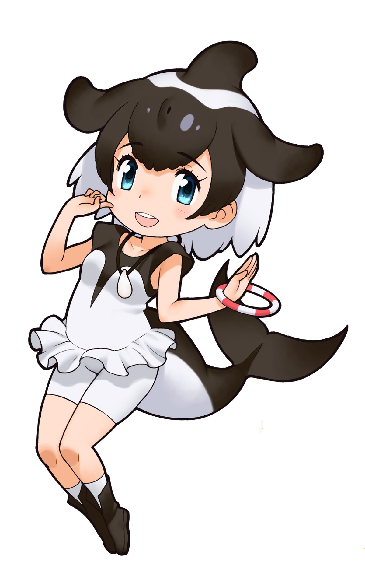 イロワケイルカ