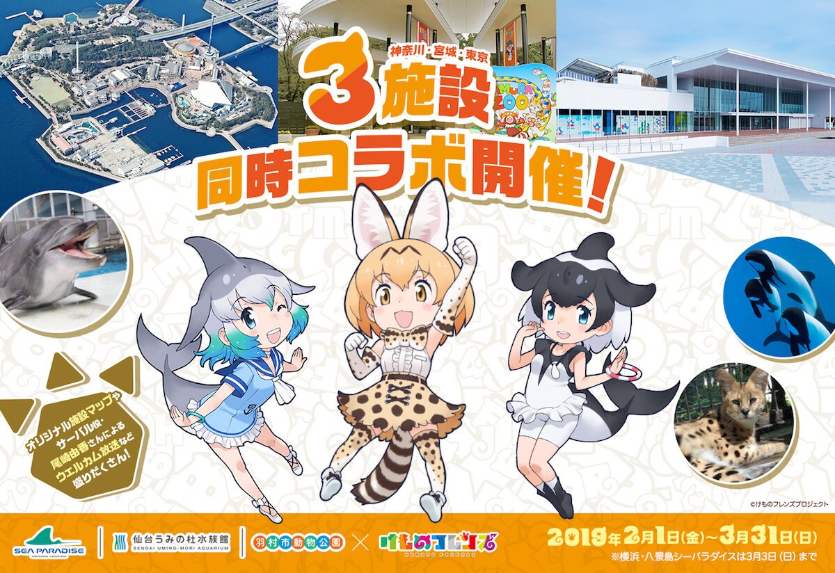 けもフレ 東京 神奈川 宮城の3施設で同時コラボ セイウチのフレンズも登場 コミックナタリー