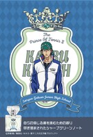 海堂薫モデルのポスター。