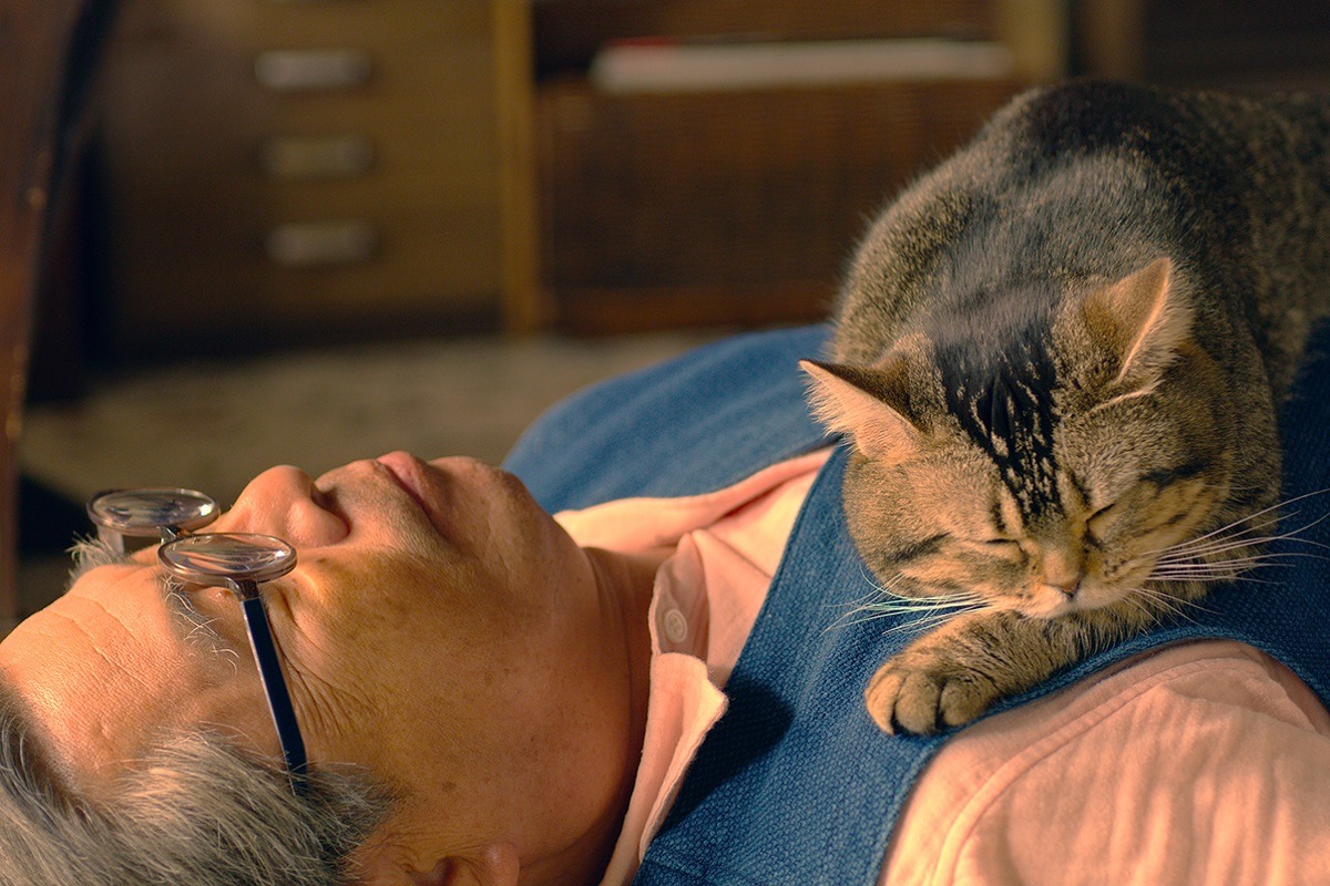 映画「ねことじいちゃん」より。