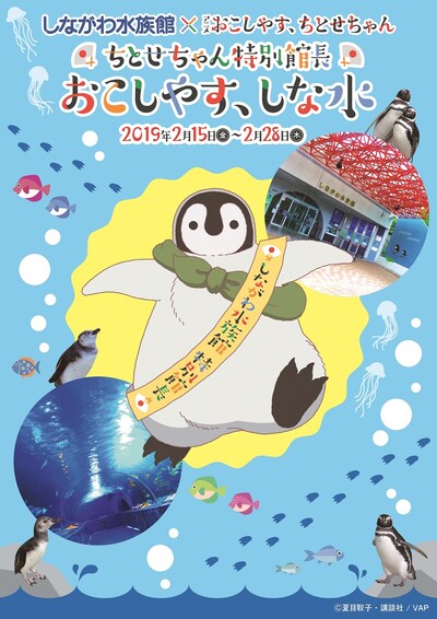 アニメ「おこしやす、ちとせちゃん」としながわ水族館のコラボビジュアル。