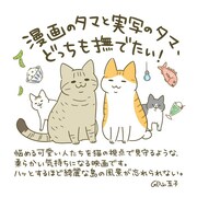 卵山玉子によるイラスト。