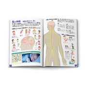 「人間/体のふしぎ」の内容。