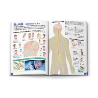 「人間/体のふしぎ」の内容。