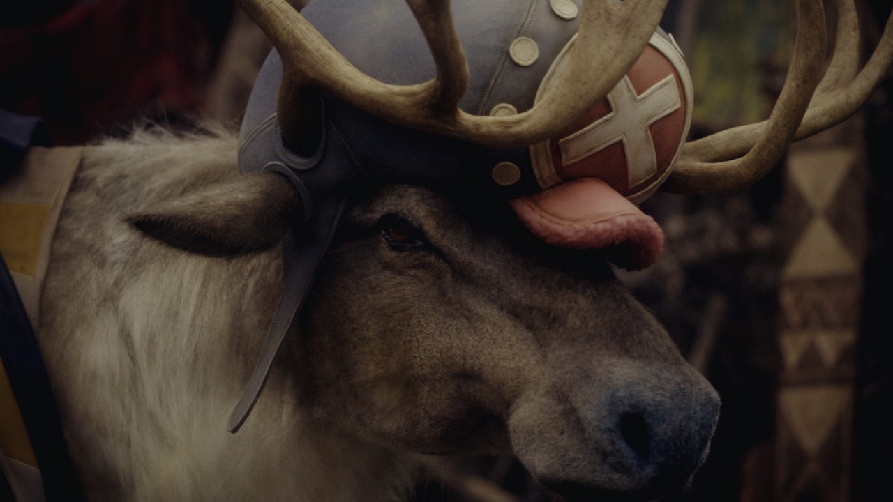 「ONE PIECE」とIndeedのコラボCM「げそキング」編より。