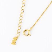 「神風怪盗ジャンヌ」コラボネックレス