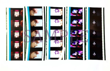 35mmフィルムコマのサンプル。