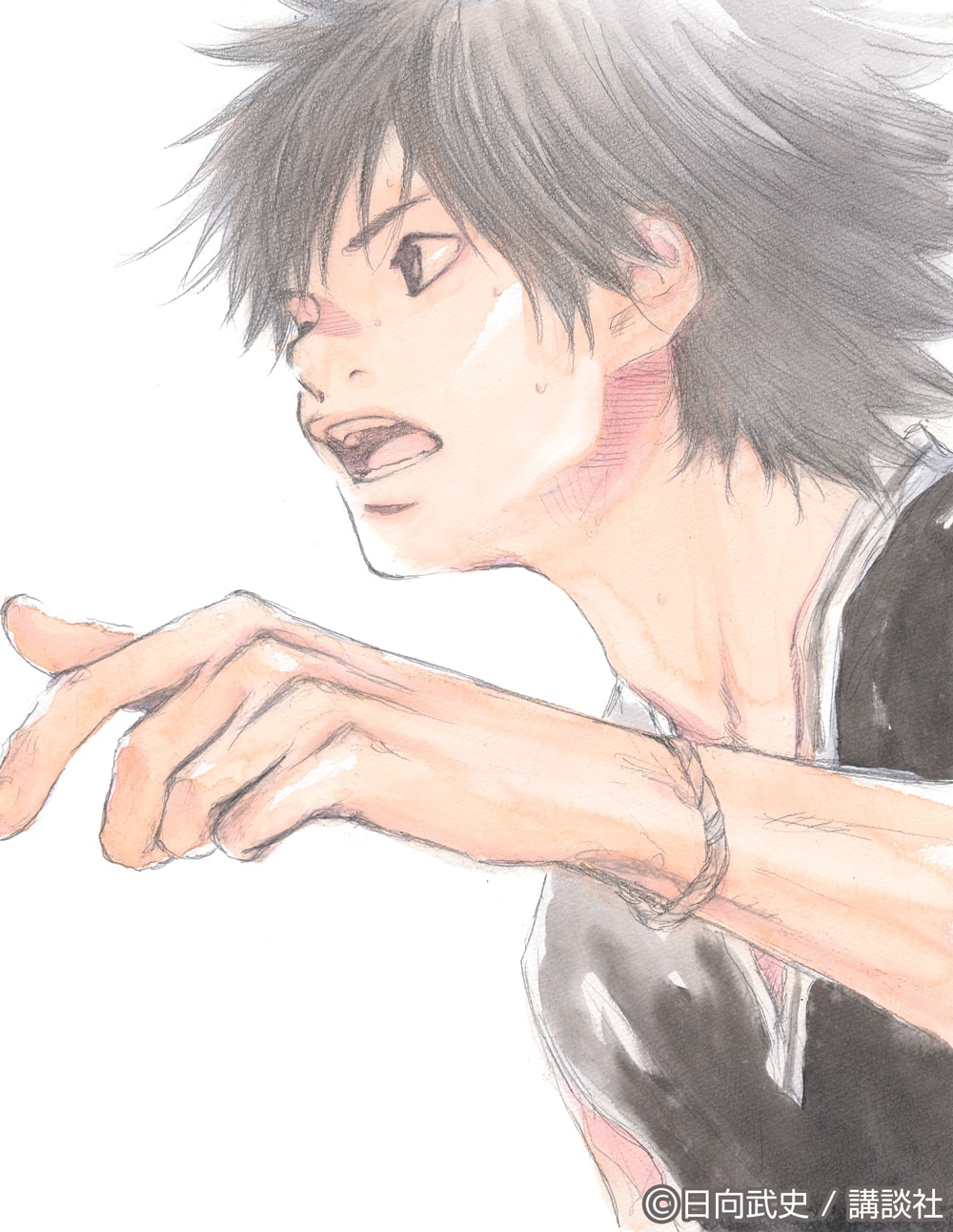 あひるの空 公式ファンブック制作決定 人気投票などファン参加型企画 コミックナタリー あひるの空 公式ファンブック制作決定 人気投票などファン参加型企画 コミックナタリー