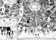 「マリアの棲む家」より。