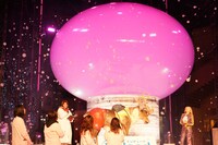 桜色に輝く「ヒルルクの桜」。