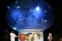 会場に用意された「ヒルルクの桜」。