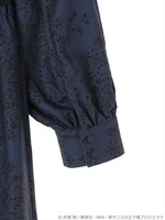 「王国パーティードレス」