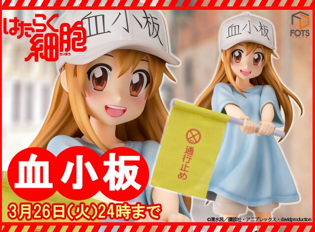 血小板のスケールフィギュア。