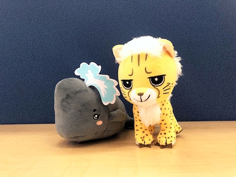 まっ子とチー太のぬいぐるみ。