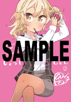 COMIC ZIN特典