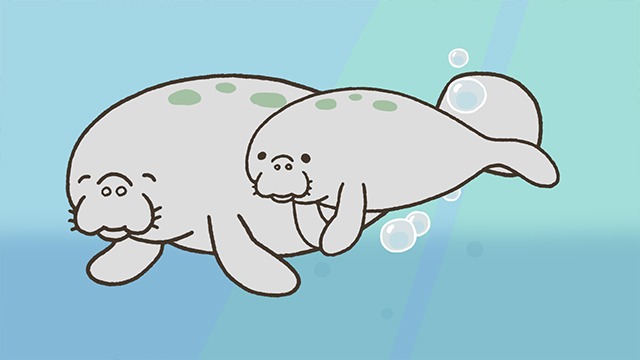 アニメ「ざんねんないきもの事典」より。