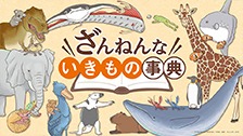 アニメ「ざんねんないきもの事典」