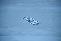 “お金バズーカ”により噴出された「闇金ウシジマくん」柄のお札。