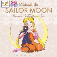 「Maison de SAILOR MOON ～Bienvenue a la chambre de la lune～」ビジュアル(c)武内直子・PNP・東映アニメーション (c)Naoko Takeuchi