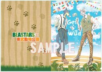 描き下ろしイラストを使用したクリアファイル。