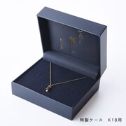 「ムッタの金ピカトランペット ネックレス（K18）」の特製ケース。