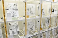 「BEASTARS原画展 ～板垣巴留の世界～」の様子。