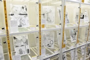 「BEASTARS原画展 ~板垣巴留の世界~」の様子。