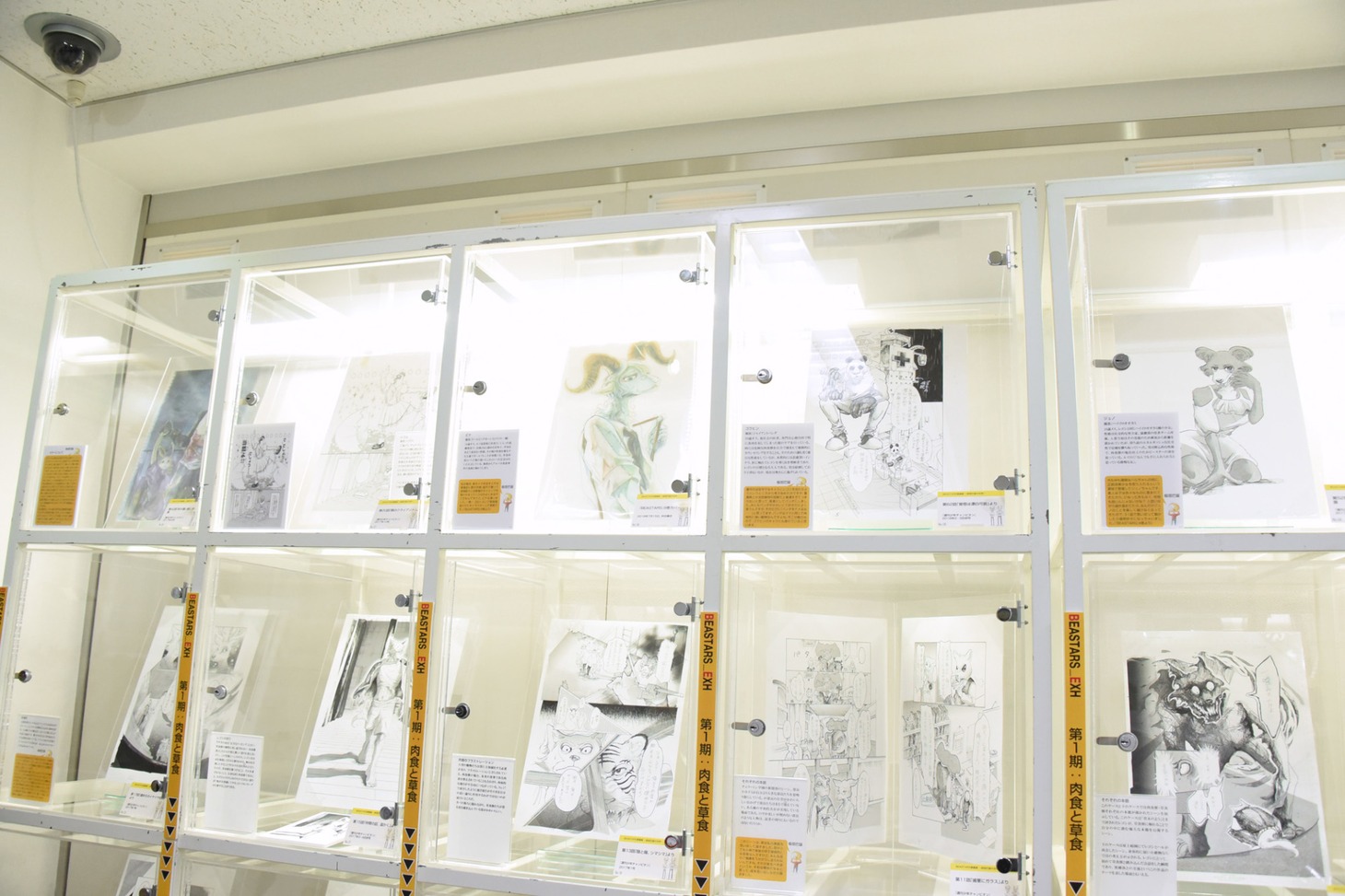 「BEASTARS原画展 ～板垣巴留の世界～」の様子。