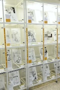 「BEASTARS原画展 ~板垣巴留の世界~」の様子。