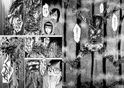 「マリアの棲む家」より。