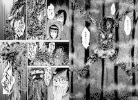 「マリアの棲む家」より。