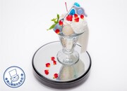 「神が見捨てし仔の幻影」