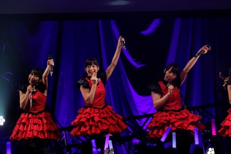 現アイアンフリルのメンバー。