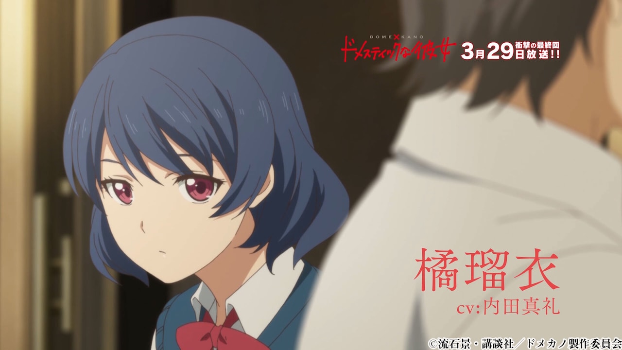 「ドメスティックな彼女」振り返りPVより。