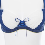 セイバーモデルのランジェリーセット。