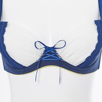 セイバーモデルのランジェリーセット。