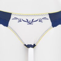 セイバーモデルのランジェリーセット。