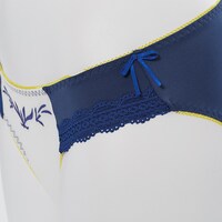 セイバーモデルのランジェリーセット。