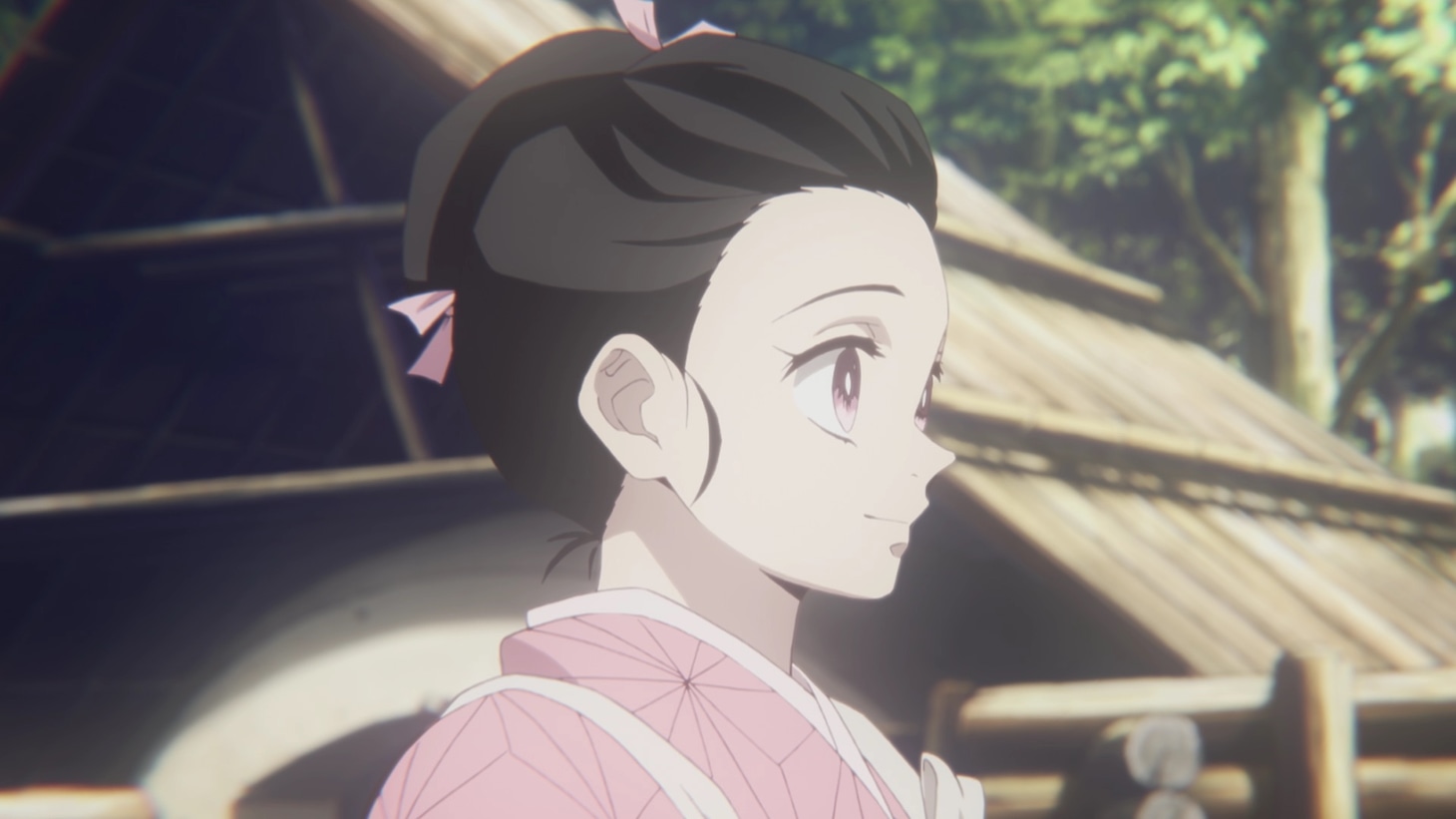 「鬼滅の刃」第2弾PVより。