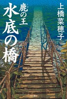 「鹿の王 水底の橋」書影 (c)KADOKAWA CORPORATION