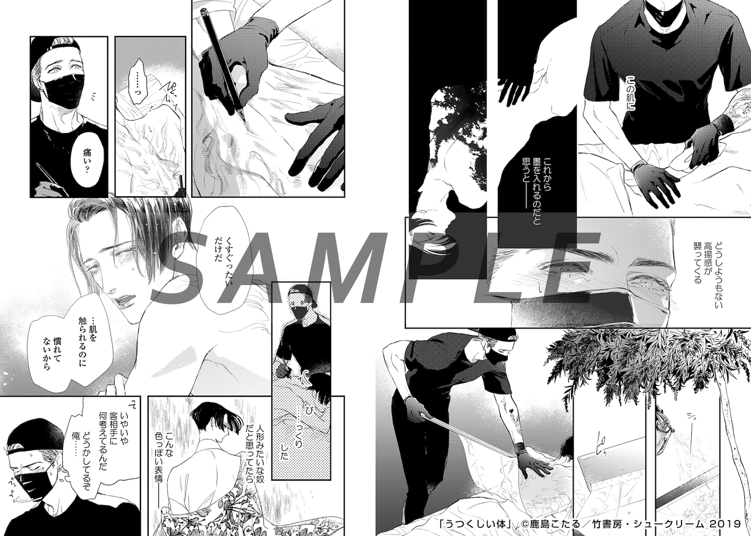 「うつくしい体」より