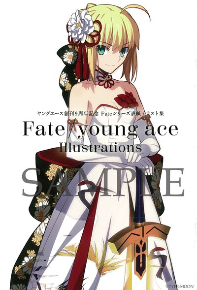「Fate/young ace Illustrations」表紙(c)TYPE-MOON