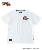 「Karyoten pocket T」