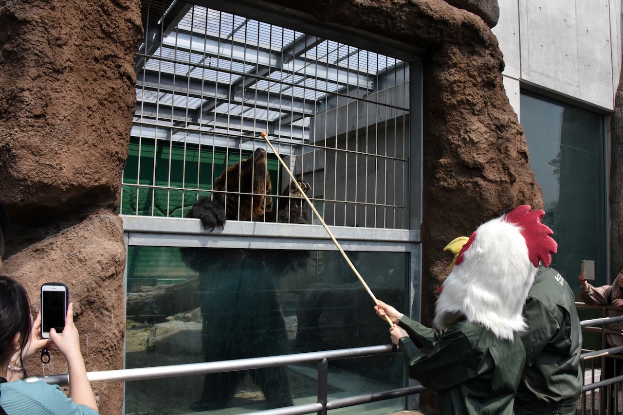 ヒグマにエサをあげる板垣巴留。