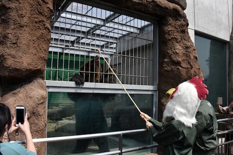 ヒグマにエサをあげる板垣巴留。