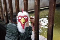 カバと板垣巴留。